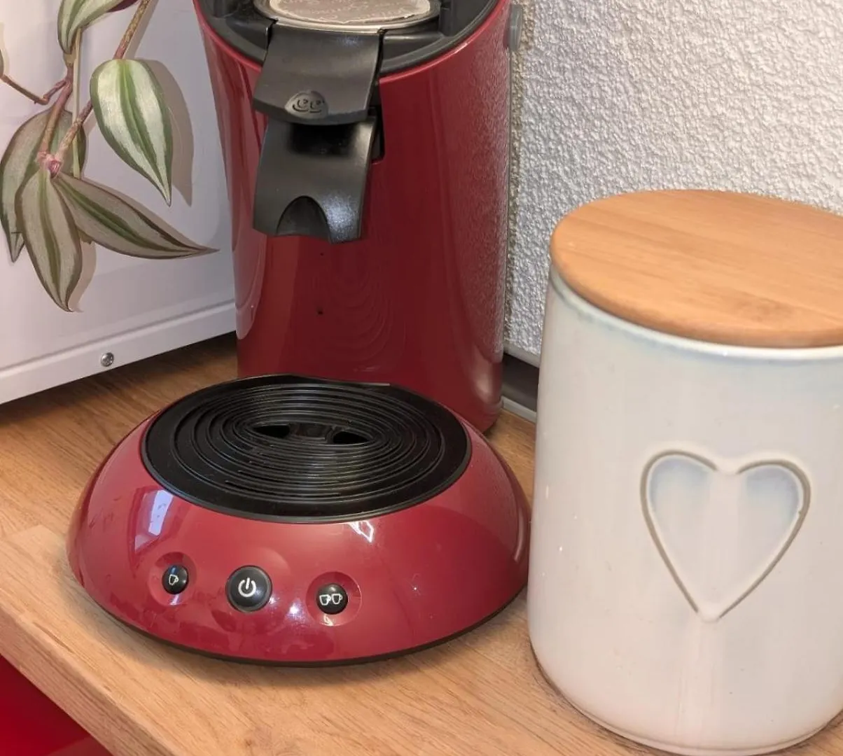 Ferienwohnung Molly Neusitz