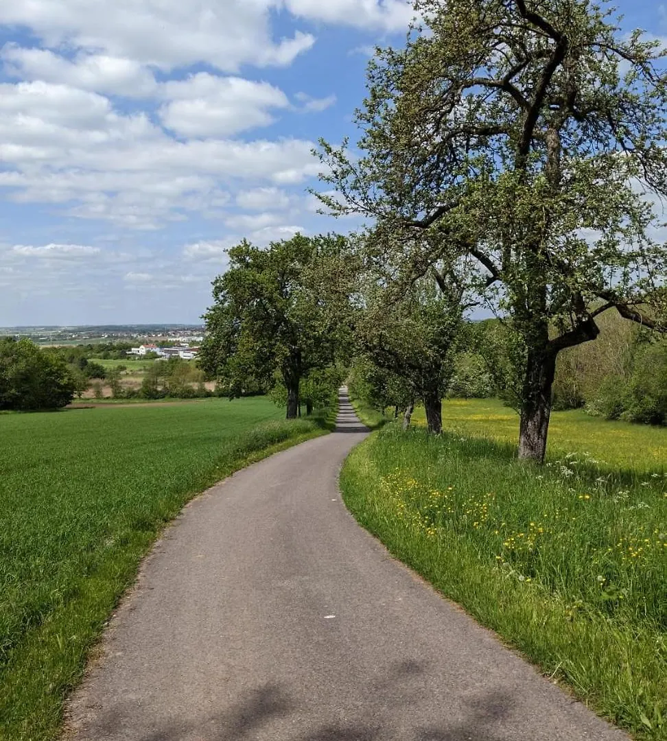 Ferienwohnung Molly Neusitz  Neusitz (Ansbach)